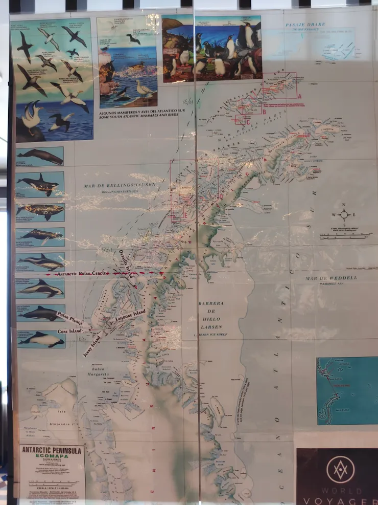 探險船停泊在Cone Island及阿德利島之間的海域，舉辦南級跳水的活動。