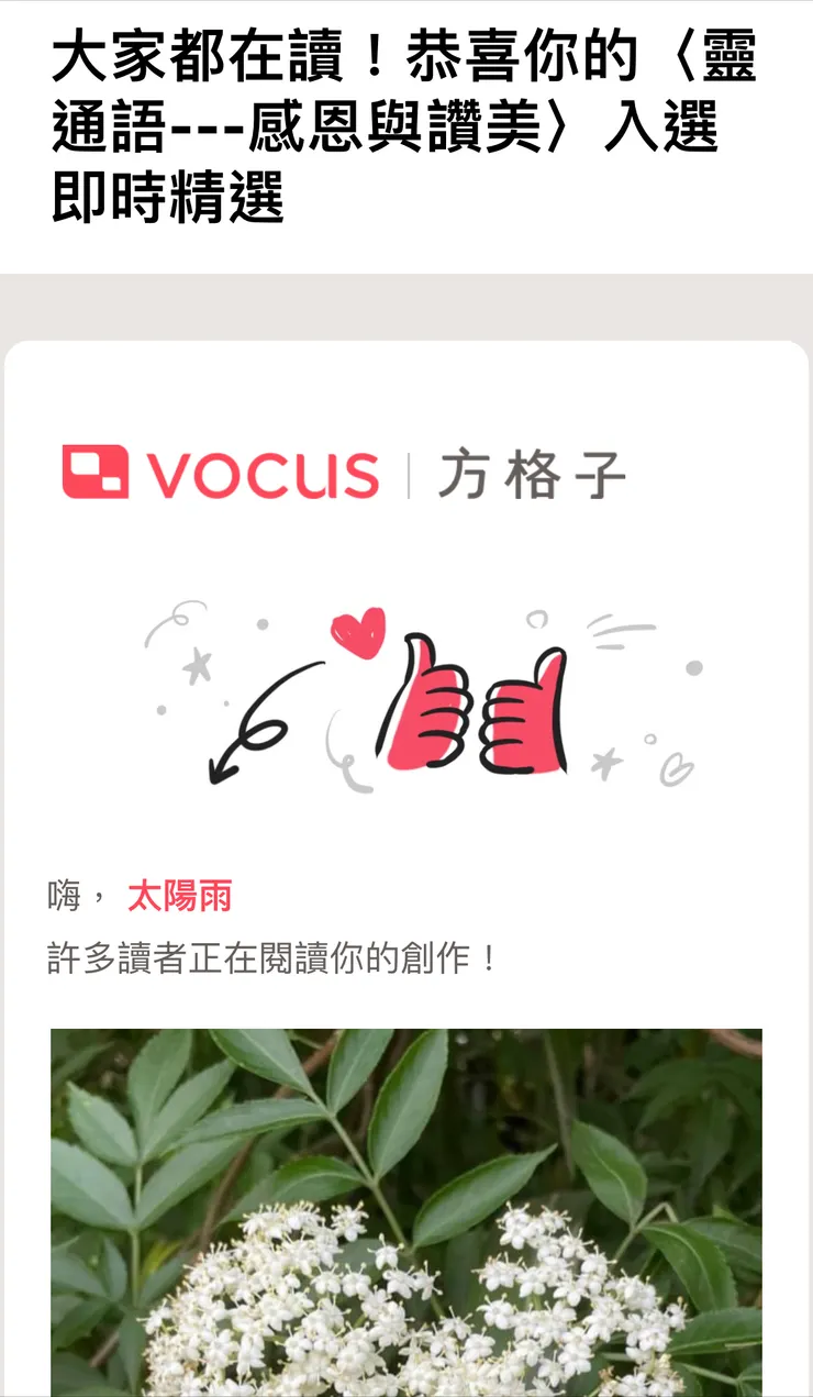 vocus｜新世代的創作平台