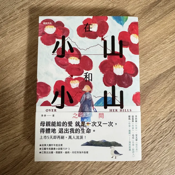 《在小山和小山之間》李停