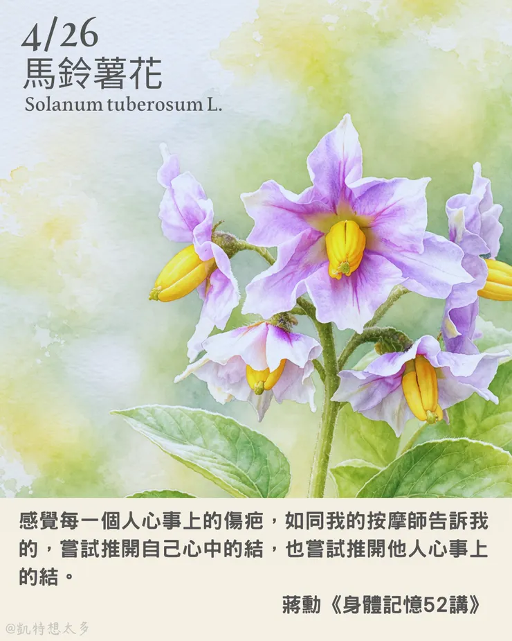 馬鈴薯花×蔣勳《身體記憶52講》