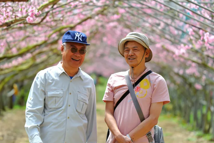 【桃花廊靠鐵桿撐起出乎意料 遠攝近拍費心截取最佳樣貌】