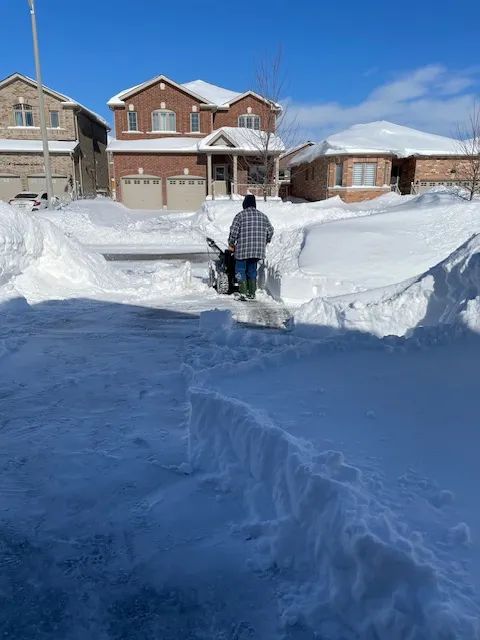 好鄰居不會「各家自掃門前雪」！