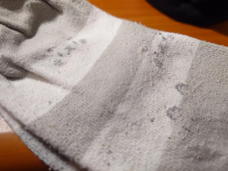 像這樣至少穿半年也起毛球的襪子就捨棄