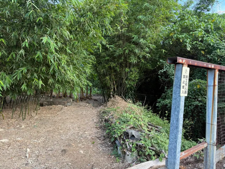 2025/09/21 阿嬤以前的菜園