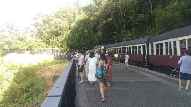 耍廢行程之一的森林火車