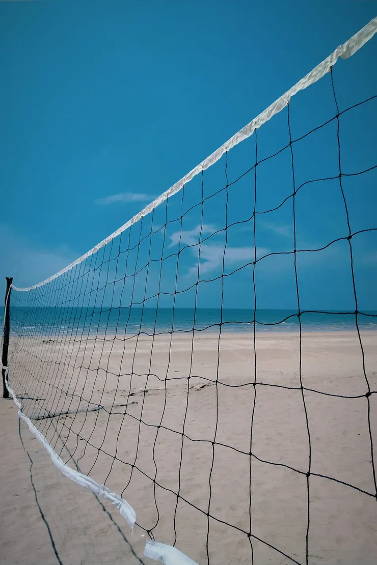 自己拍攝的圖片。