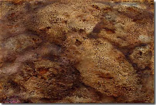 Hai-Jiao Jade by H.H. Dorje Chang Buddha III