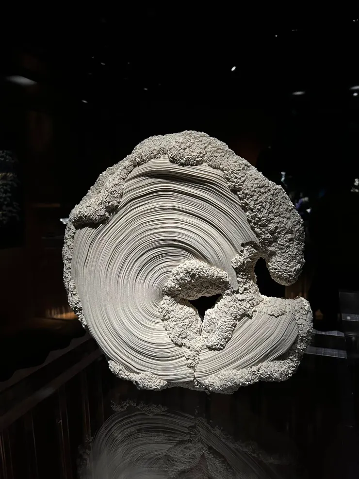 織品雕塑，超級美，一開始完全看不出來是布