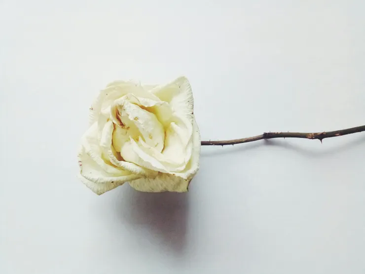 Photo by Ilya Chunin on Unsplash