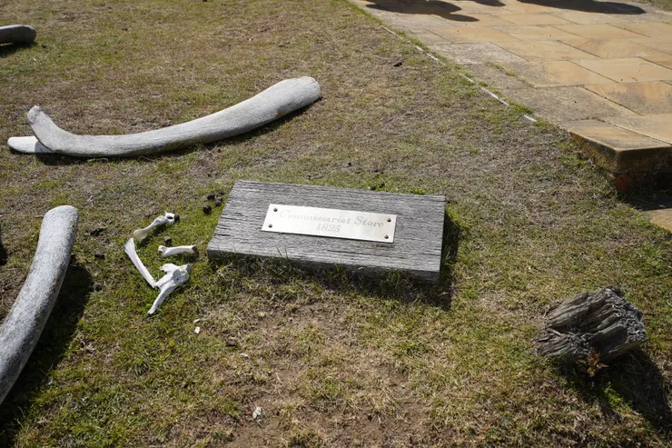 鯨骨見證~捕鯨取鯨油的歷史