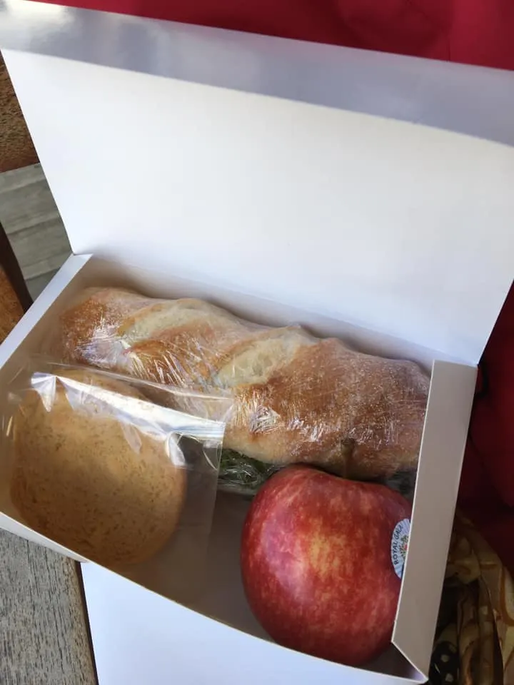 午餐三明治(垃圾要自己帶回去)