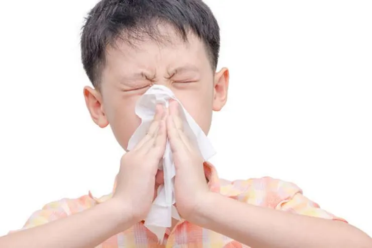 鼻子對菸味過敏