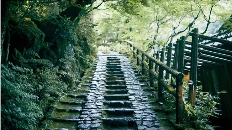 圖片來源:星野集團提供