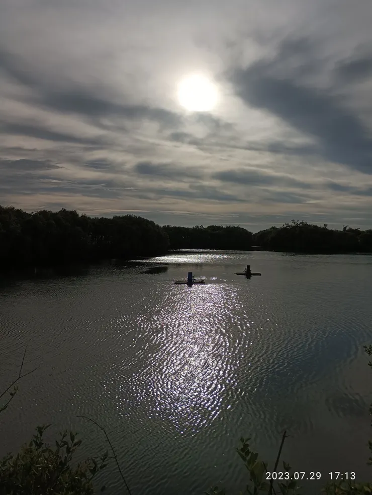 大鵬灣潟湖旁的湖，自拍