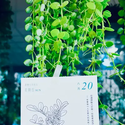 蕾森。軟裝風格規劃