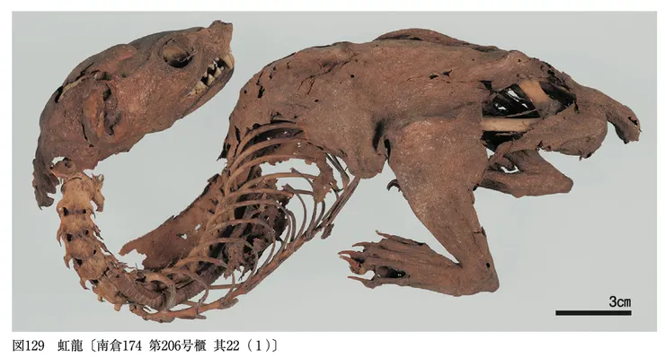 正倉院收藏的「虹龍」木乃伊。