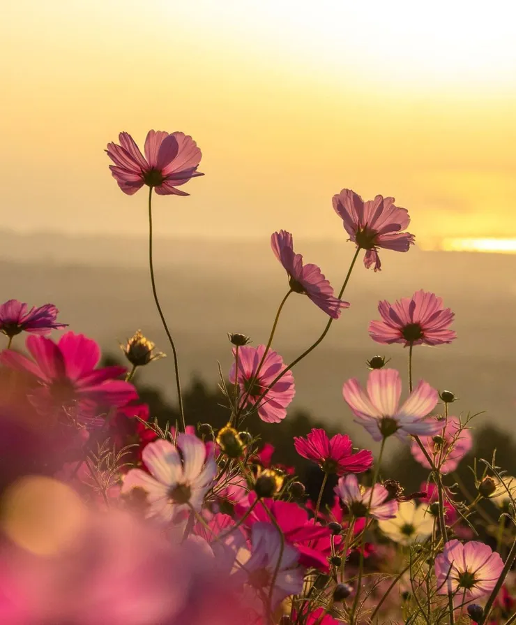 從生活事件中思考-圖片來源：Pixabay