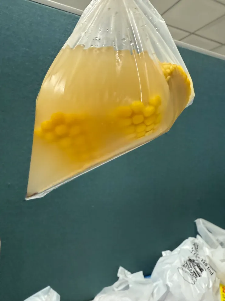 2026/01/06 老闆給的熱湯,還有好多玉米