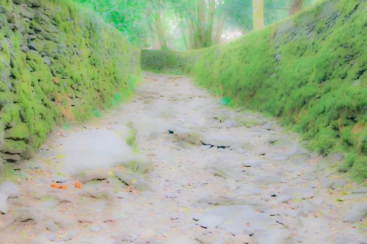 通往俄瑞斯特山丘(Orrest Head)山頂的小徑