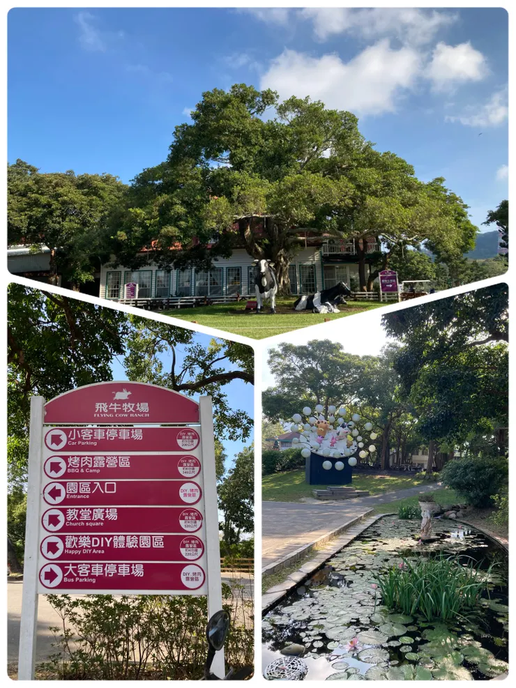 往山坡上走一段路,就可以看到飛牛牧場園區了