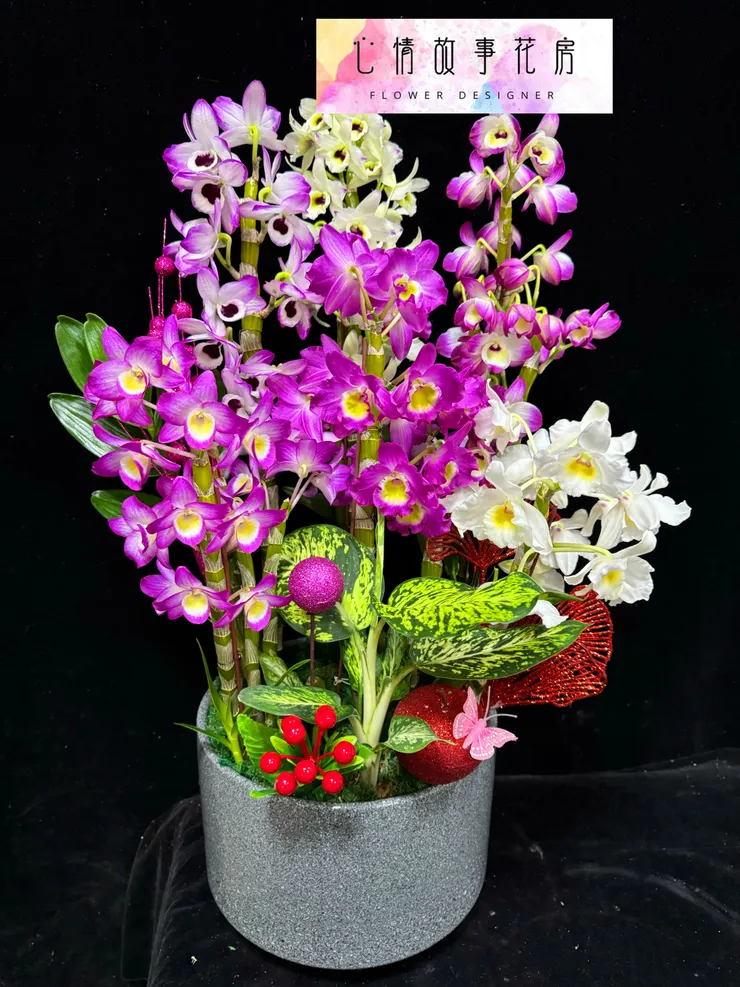 春天最美的賞花選擇——春石斛組合盆栽，為您的生活增添優雅氣息！ 台南心情故事花房