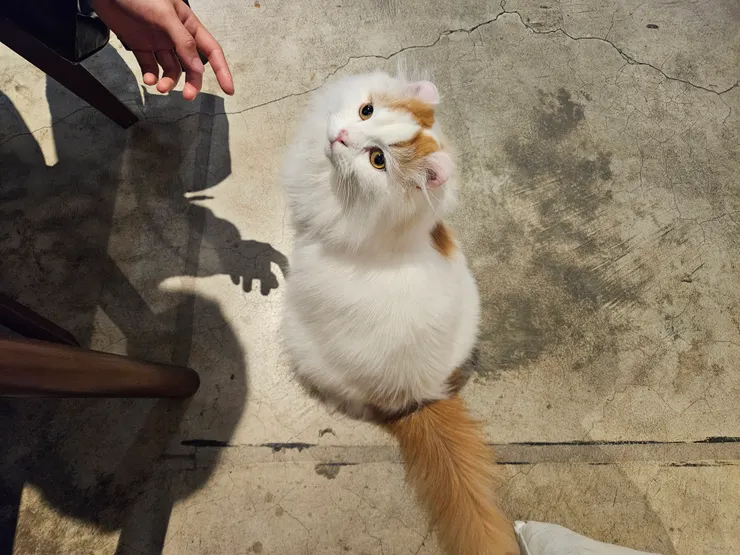 回眸一笑百媚生