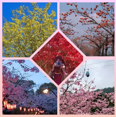 小米粒（時間的旅人👣)