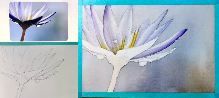 圖YH.CC@水彩練習 W55線稿與未完成｜感謝格友Red分享攝影作品