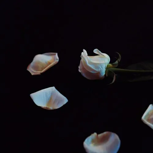 《With All My Heart》專輯封面