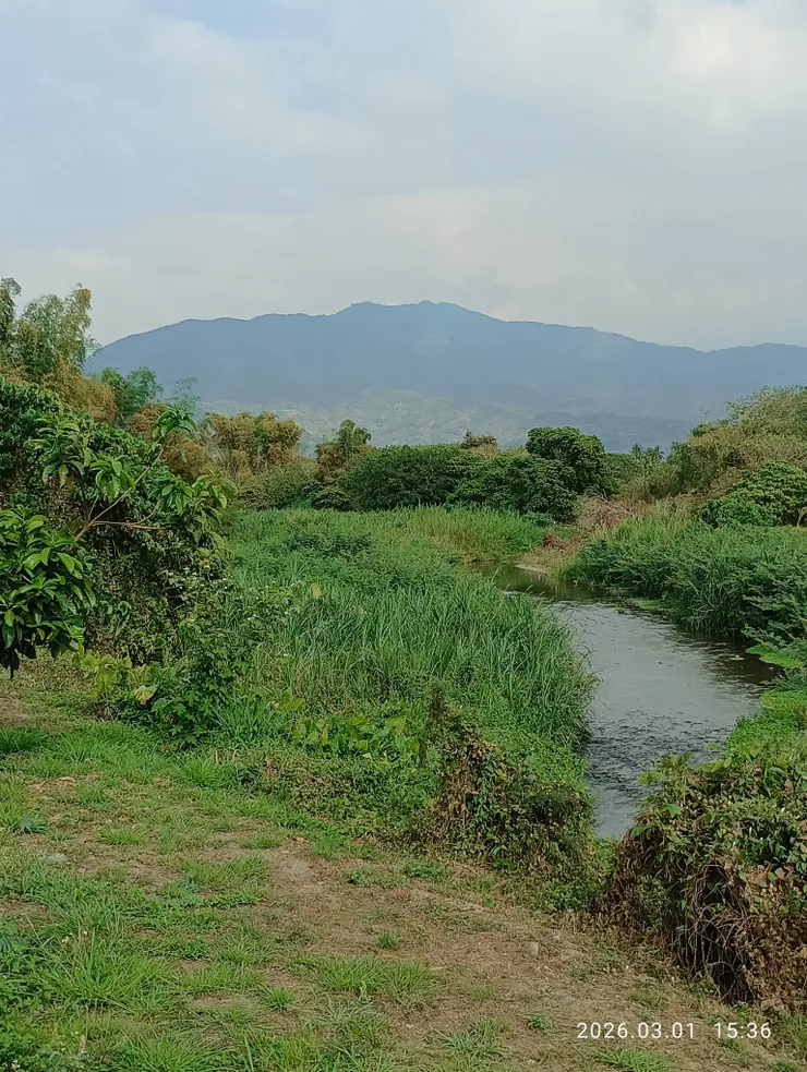 兩袖輕風泗水邊