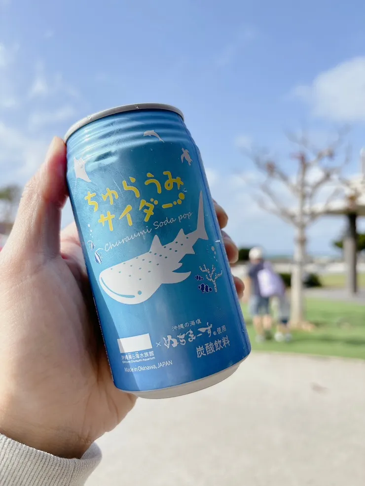 圖片來源：辰心