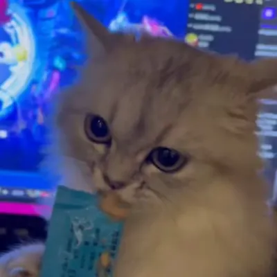 26歲努力上班投資鴻海的白領女孩