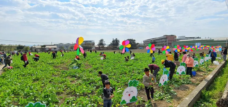 福利會造福同仁澤及老農鄉親！電廠同仁、眷屬優先採拔時間到10：30結束，之後開放在地鄉親進場，別看只有八分地，足供所有人滿載而歸。