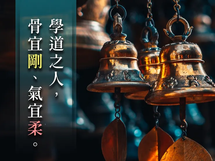 學道之人 骨宜剛 氣宜柔