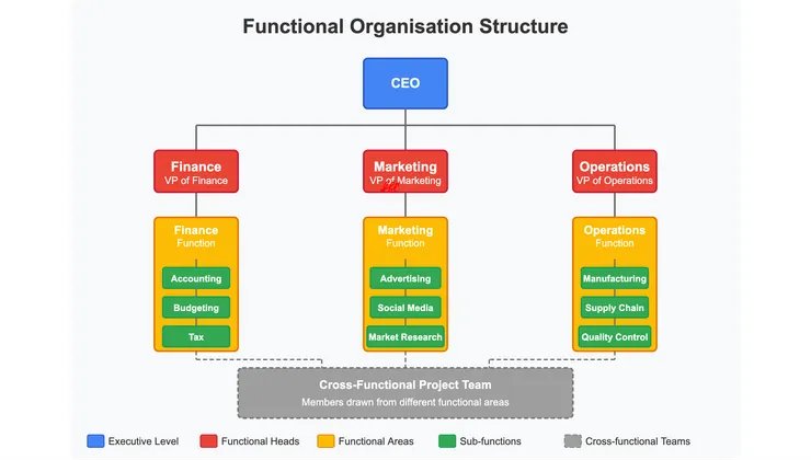 功能制 (Functional)：階級制的一種，只是依功能分類