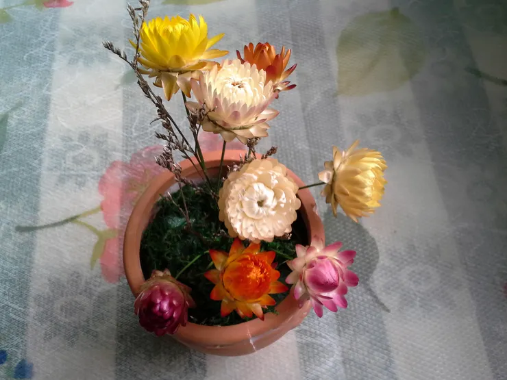 不會凋謝的花/作者攝