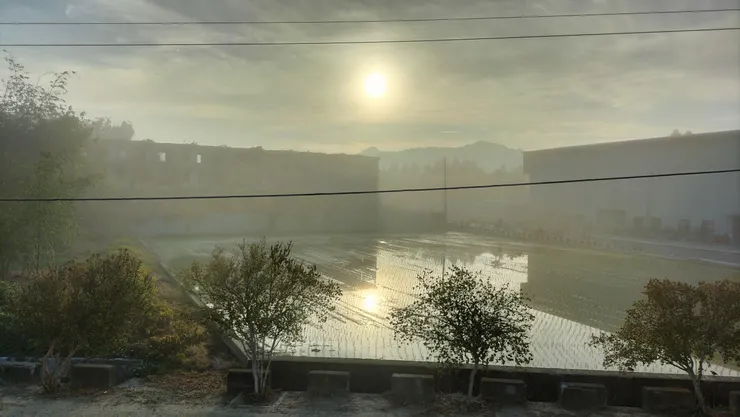 清晨美景1 /Mingling 攝