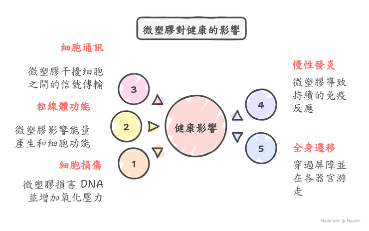 微塑膠對健康的影響