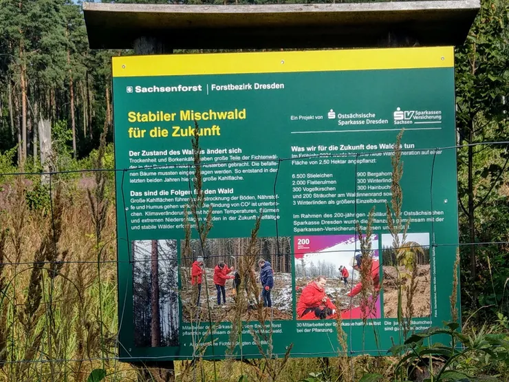 種植混合林的計劃