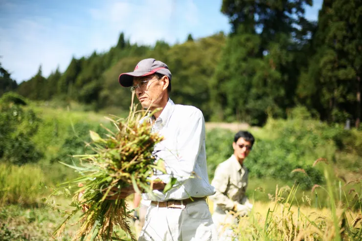 ▲日本當地農夫若井明夫，全程教授香港團隊種植技巧。（阿G 攝）
