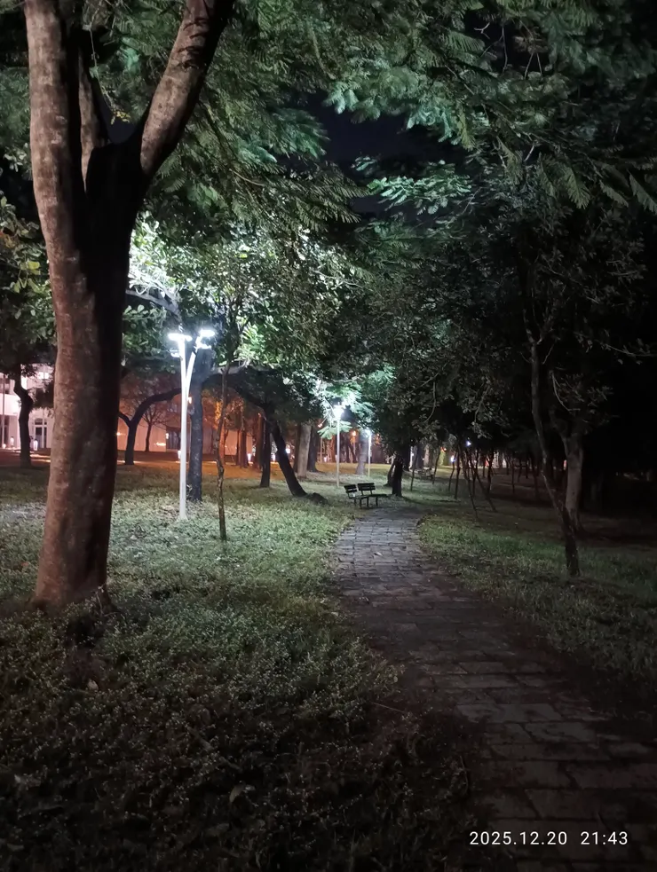 曾記小窗共情話