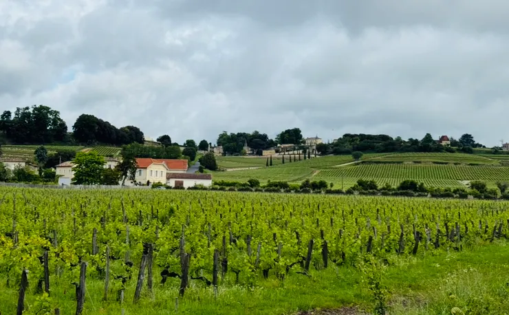 如詩似畫般的風景