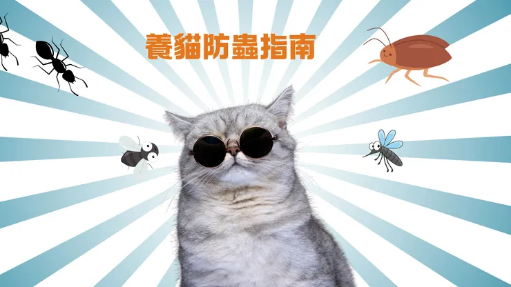 養貓不僅帶來溫暖的陪伴,還能有效驅趕蟑螂。本文介紹養貓除蟑的原理、具體步驟和注意事項,幫助您創造一個既環保又對貓咪安全的家居環境。特別適合有嬰幼兒或寵物的家庭,實現無毒驅蟑效果。