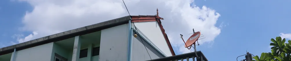 阿漁慵懶中求生存