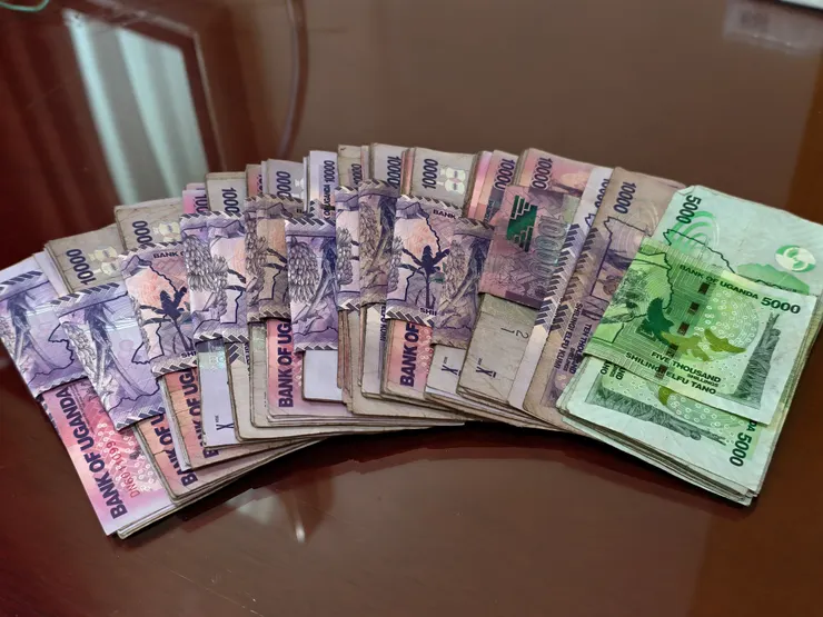 我變成百萬富翁了。紫色鈔票面額1萬先令,綠色鈔票面額5,000先令,換算成台幣約80元、40元。