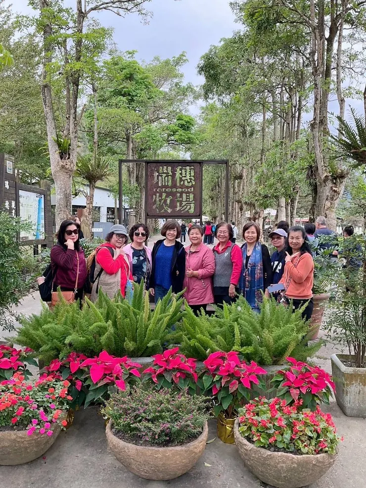 瑞穗牧場園區內的乳牛數目比遊客多了好幾倍