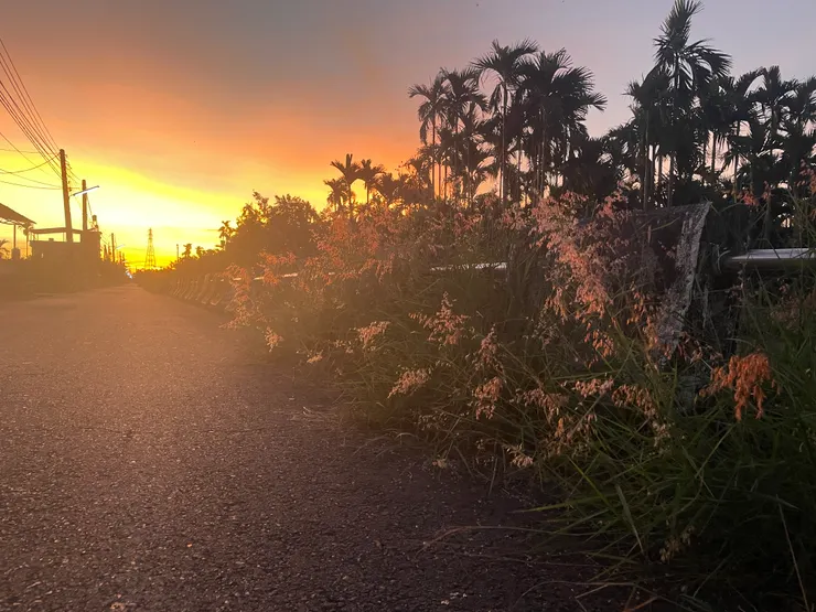 某天，聽完彭佳慧的音樂會，回家路上拍下的黃昏。