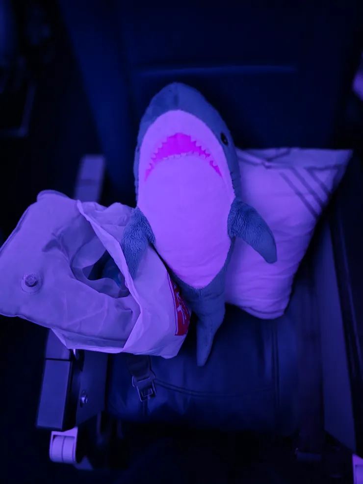 整趟飛行就靠這些東西在支撐意志力了😂