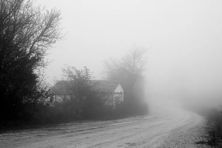 Pexels 上由 Mesut  Yalçın 拍攝的相片