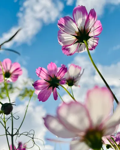世界很大視野也要跟著放大